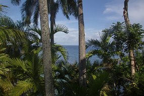 Jamaica 2015-31