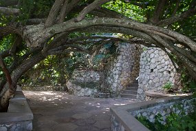 Jamaica 2015-35
