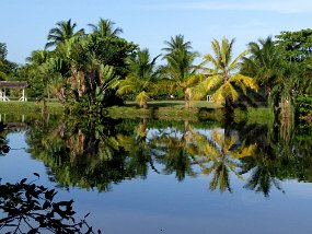 Jamaica 2015-55