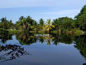 Jamaica 2015-56