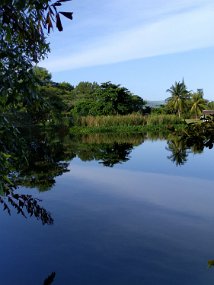 Jamaica 2015-57