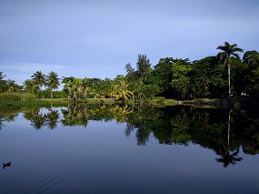 Jamaica 2015-58