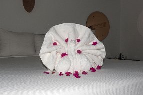 Jamaica 2018 (112 of 128)