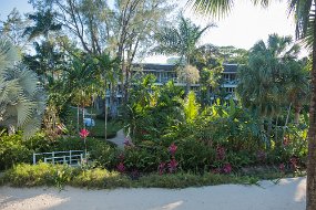 Jamaica 2018 (23 of 128)