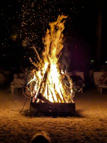 Jamaica 2018 (35 of 128) Maker:S,Date:2017-11-4,Ver:6,Lens:Kan03,Act:Lar02,E-Y