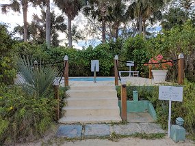 Jamaica 2018 (97 of 128) Maker:S,Date:2017-11-4,Ver:6,Lens:Kan03,Act:Lar02,E-Y