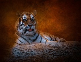 _A634705-Edit