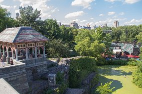 New York 2015-263