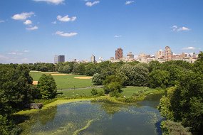 New York 2015-266