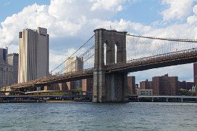 New York 2015-388