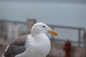 San Francisco-181