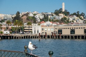 San Francisco-267