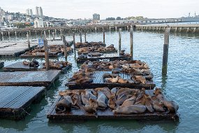 San Francisco-277