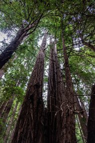 San Francisco-473