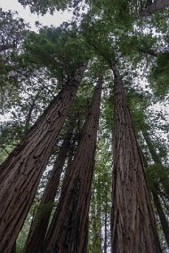San Francisco-483