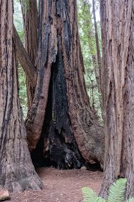 San Francisco-484