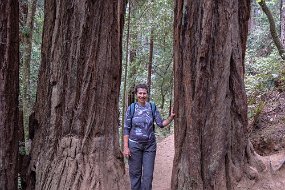 San Francisco-506