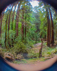 San Francisco-528