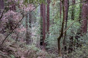 San Francisco-531