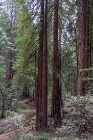 San Francisco-532