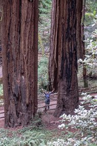 San Francisco-533