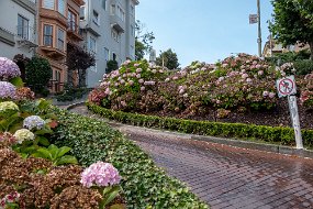 San Francisco-73
