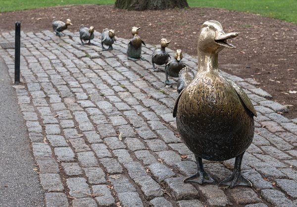 Boston 2019
