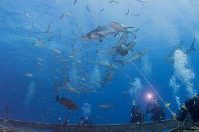 Bahamas 2014-144
