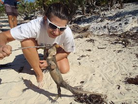 Bahamas 2014-213