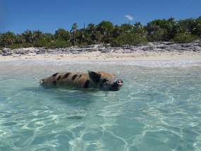 Bahamas 2014-226