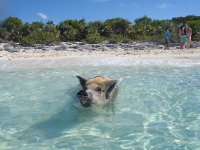 Bahamas 2014-227