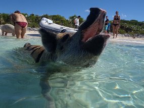Bahamas 2014-228