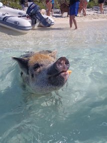 Bahamas 2014-229