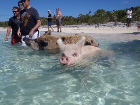 Bahamas 2014-231