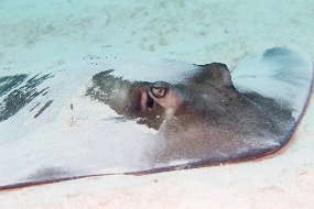 Bahamas 2014-69