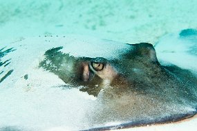 Bahamas 2014-70