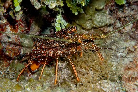 Bahamas 2023-125