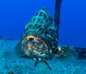 Bahamas 2023-128