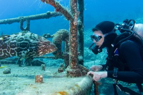 Bahamas 2023-135
