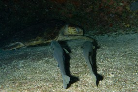 Bahamas 2023-140