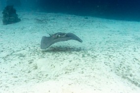Bahamas 2023-143