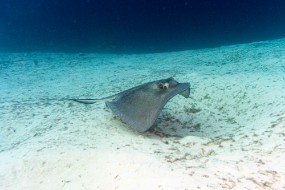 Bahamas 2023-144