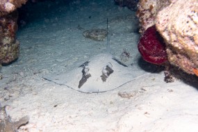 Bahamas 2023-153