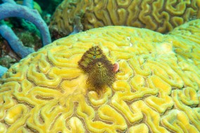 Bahamas 2023-170