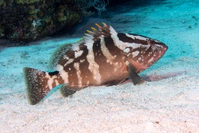 Bahamas 2023-20
