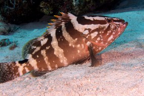 Bahamas 2023-21