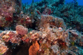 Bahamas 2023-61