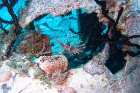 Bahamas 2023-70