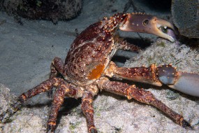 Bahamas 2023-83