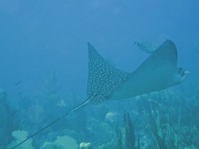 IMG_4013e